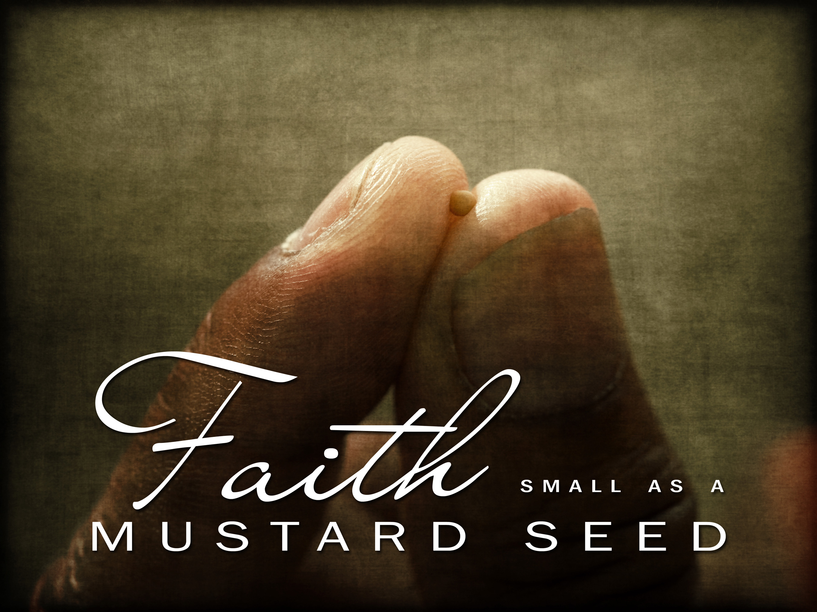 faith of a mustard seed kjv